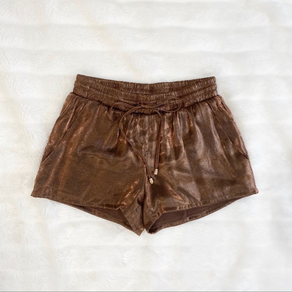 Brown Silk Boutique Shorts